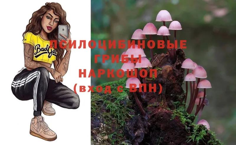 Псилоцибиновые грибы MAGIC MUSHROOMS  Торжок 